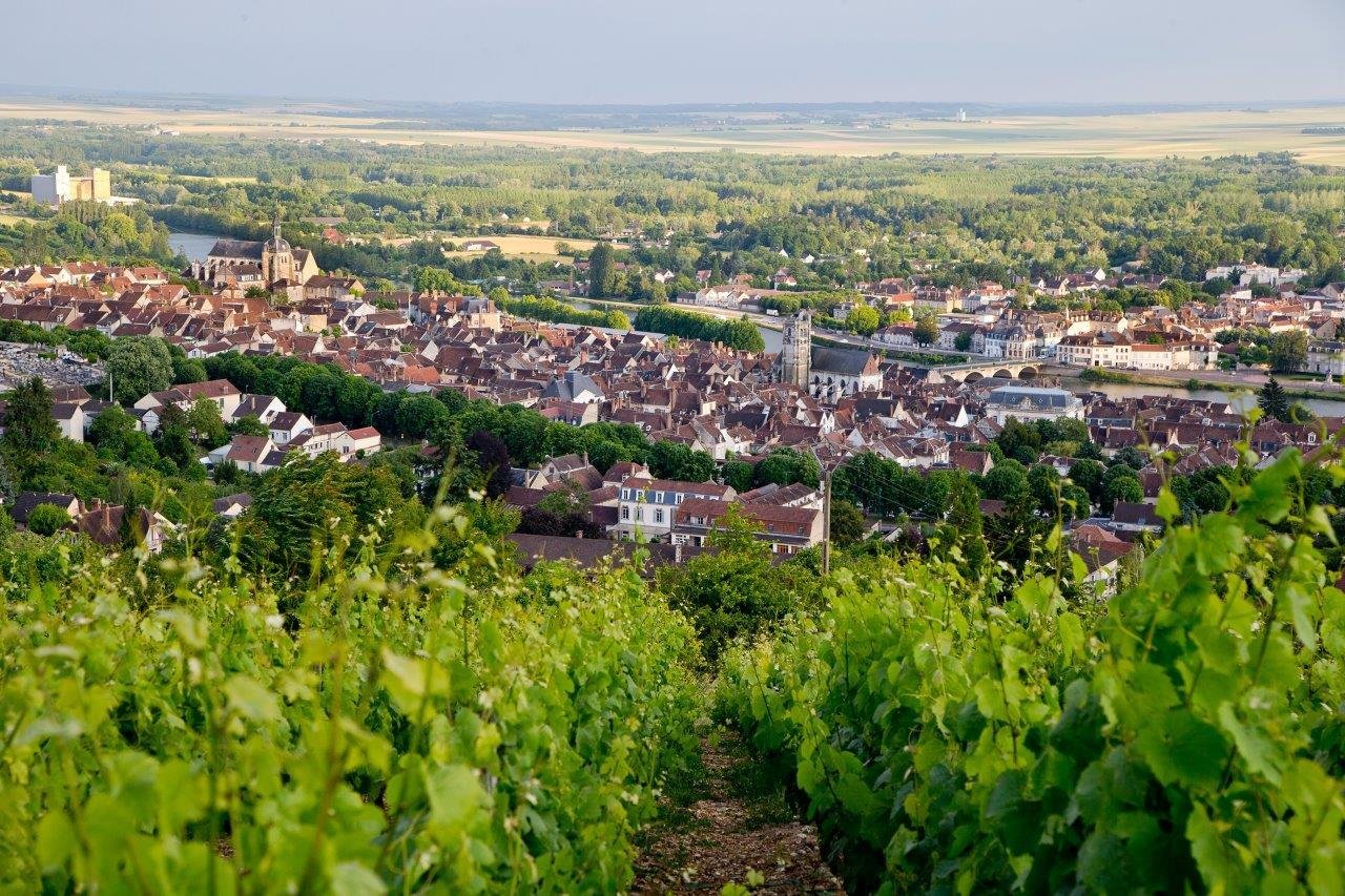 Vue sur Joigny ville d'art et d’histoire depuis les vignes des grands vins de Bourgogne